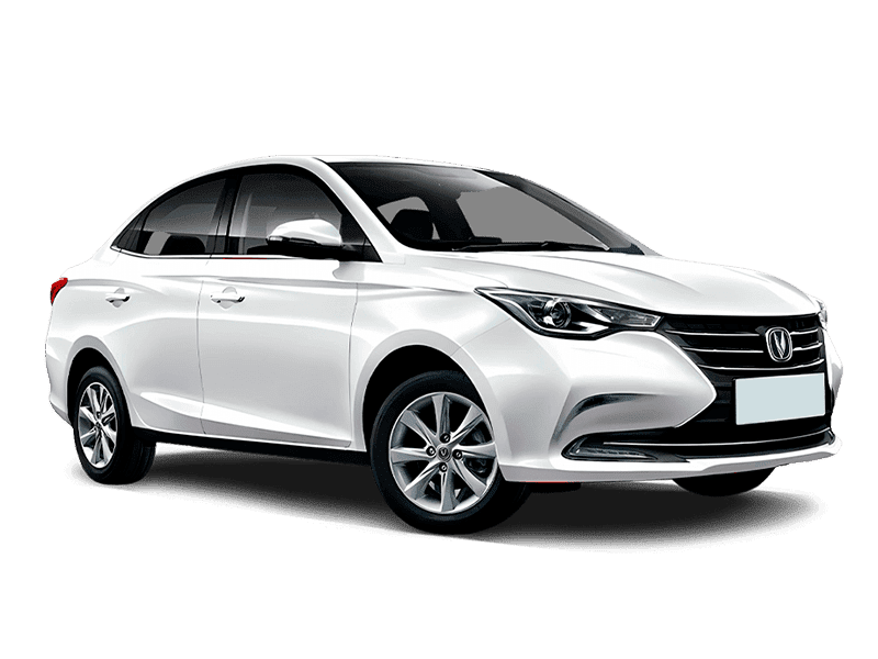 Звездный белый